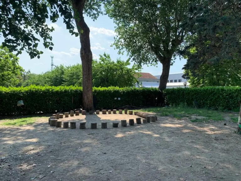 Il cerchio, asilo nel bosco